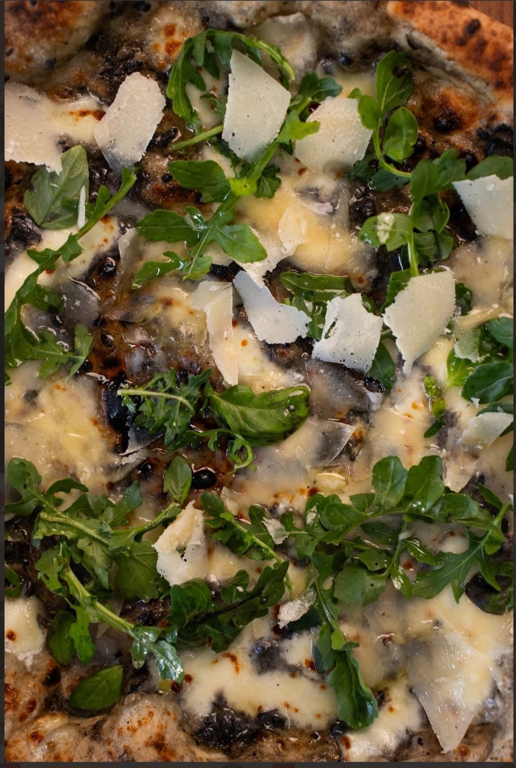 Zino - Truffe