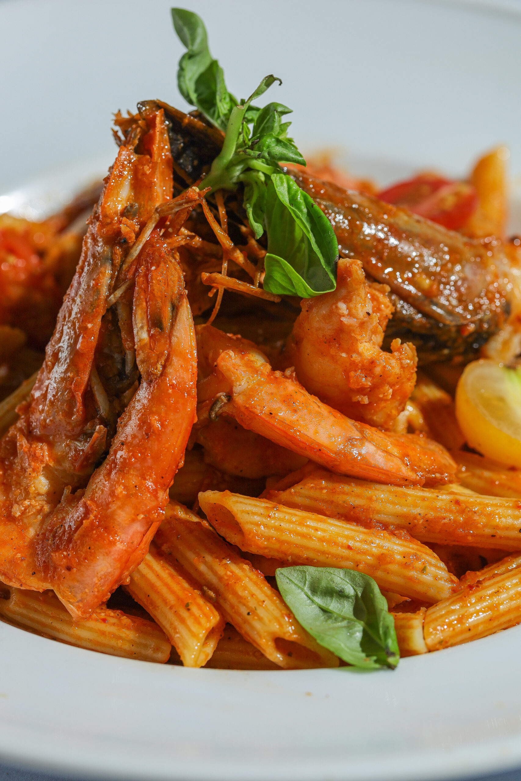 Penne crevette